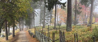 Höstpromenad längs Mjölkuddsstranden