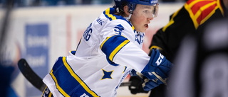 Hästen lånar in forward från SHL