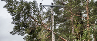 Tusentals hushåll strömlösa under helgen