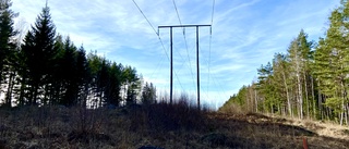 Från bland de bästa till stora brister