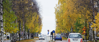 Flest olyckor i trafiken sker runt Östra skolan