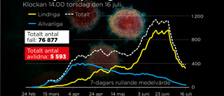 Gynnsamt virusläge i Sverige - värre globalt