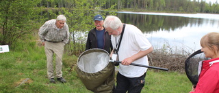 Holmsjöhultängen blev välbesökt