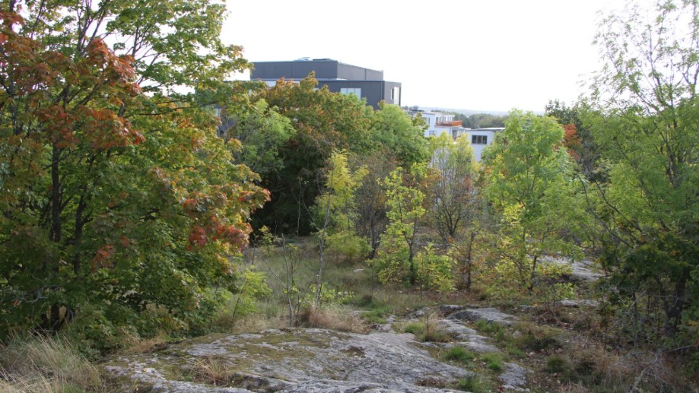 Lindö växer, i området bakom Hemköp planeras för nya bostäder i form av radhus och flerbostadshus.