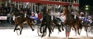 Umåker: Sambucus P.R en megaskräll på lunchen