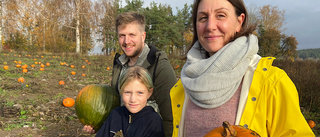 Udda succén: Självplock av pumpor lockade 2 000