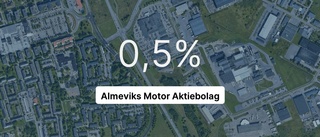 Motorföretaget på rätt sida strecket – se listan på de största företagen i branschen