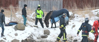 Hästägaren om dramatiska räddningen