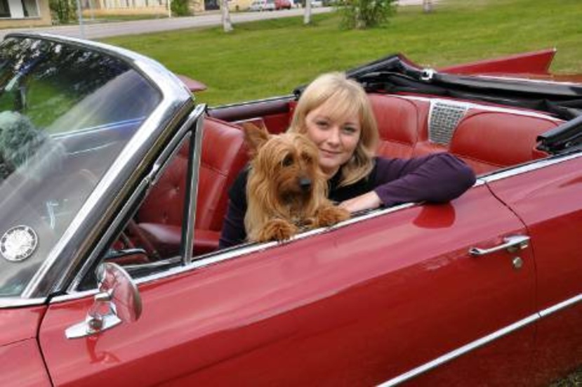 Med sikte på Midnight sun meet. Undrar vem som njuter mest av att glida fram i denna röda skönhet - Cadillac cabriolet från 1963 - Angelica Hedberg eller australiensiska terriern Fanny. FOTO: Maria Ödalen