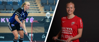 Storvreta fortsätter värva från Sirius: "Enkelt val"