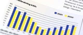 5,4 miljarder i elstöd till företag