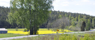 Ta en roadtrip på småvägar i norra Tjust