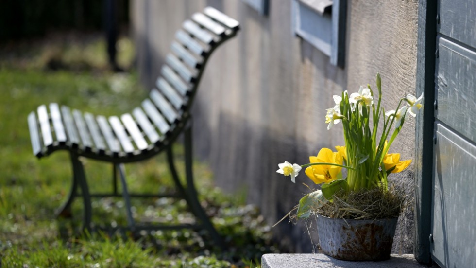 Så vad har hänt egentligen? Tja, inget nytt under solen, menar insändarskribenterna.