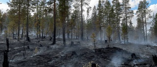 Stor risk för gräsbrand – sju bränder under helgen