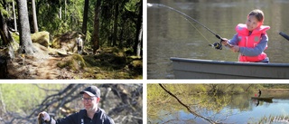 Det vilda Boxholm – få naturreservat men gott om orörd natur