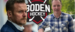 Boden Hockey bygger ny organisation – tänker anställa sportchef