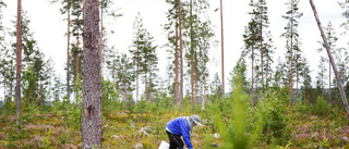 "Prisökning – annars är branschen död"