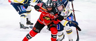 Live 12.00: Luleå Hockey/MSSK–Linköping HC