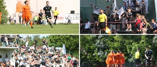 Våra bästa bilder och punkter efter derbyt – kampen mellan fansen