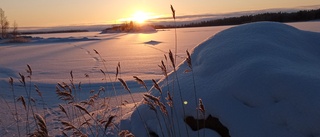 Läsarbilden: Solen kikar fram 