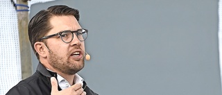 Nu är det fritt fram, Jimmie Åkesson