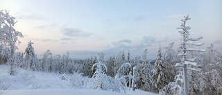 Läsarbilden: En härlig vinterdag