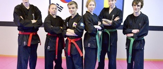 Hapkido en medaljsport