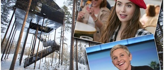 Filmstjärnan på smekmånad i Harads • Hyllar Tree hotel: "Det var iskallt – men jag omfamnade det"