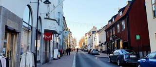 Inbrottstjuv tagen på bar gärning i centrum