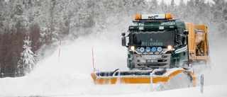 Plogbilen hamnade själv i diket