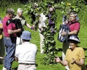 Tjuvstart på midsommarfesten