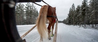 Får man verkligen rida på gångvägen?