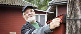 Han bygger holkar för världens fåglar – och barn