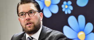 SD vill göra extra satsning på Polisen