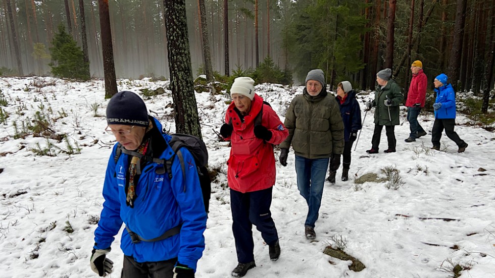 Leif-Åke Wiström leder vägen på vår färd genom Bredsandsskogen.