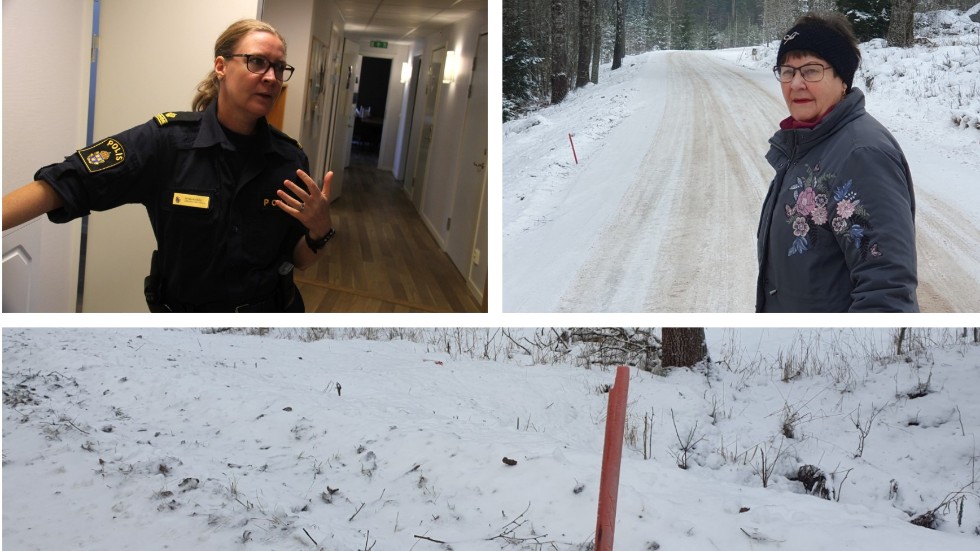 "Jag tror att det är buskörning med fara för eget och andras liv", säger Gunnel Laine om de sönderkörda snökäpparna.