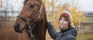 Andra starten och andra segern för Frössevis häst