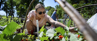 “Vi arbetar och skördar tillsammans”