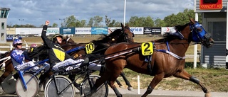 Tränardubblar till Hoffman och Jonsson 