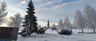 Julgransjakten är avgjord: ”Roligt när medborgarna engagerar sig”