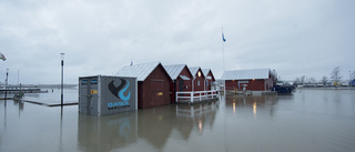 Markhöjning i hamnen blir inte av