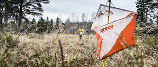 30 sprang ifrån myggen i solskenet