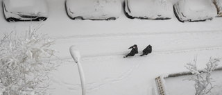 Spanska soldater hjälper strandade i snön