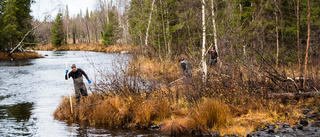 Missing People gjorde inga fynd: "Frustrerande"