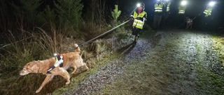 Sjöpolisen letar efter försvunnen tonåring