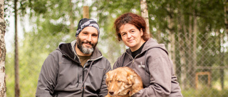 Sandra och Alexander satsar på hundspann i Björkås 