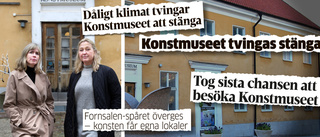 Museichefen: ”Vi gjorde ett försök. Det hjälpte inte”