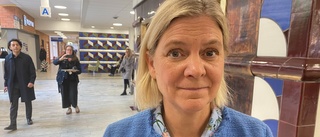 Magdalena Andersson borde ha Laila Naraghi som guide på färden