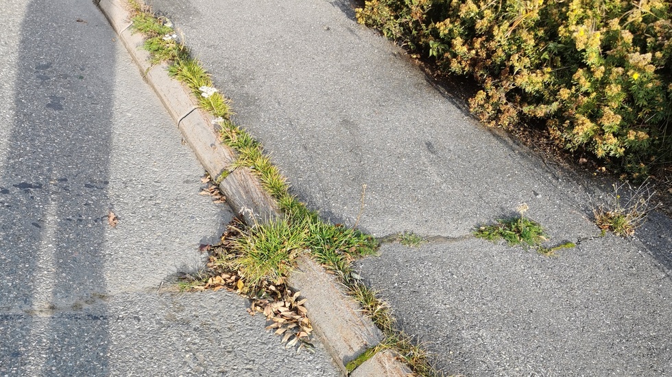 Så här ser många trottoarer ut i Ersmark, berättar signaturen Petra som får svar direkt av kommunen.