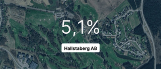 Hallstaberg AB hade större omsättning än resten i branschen